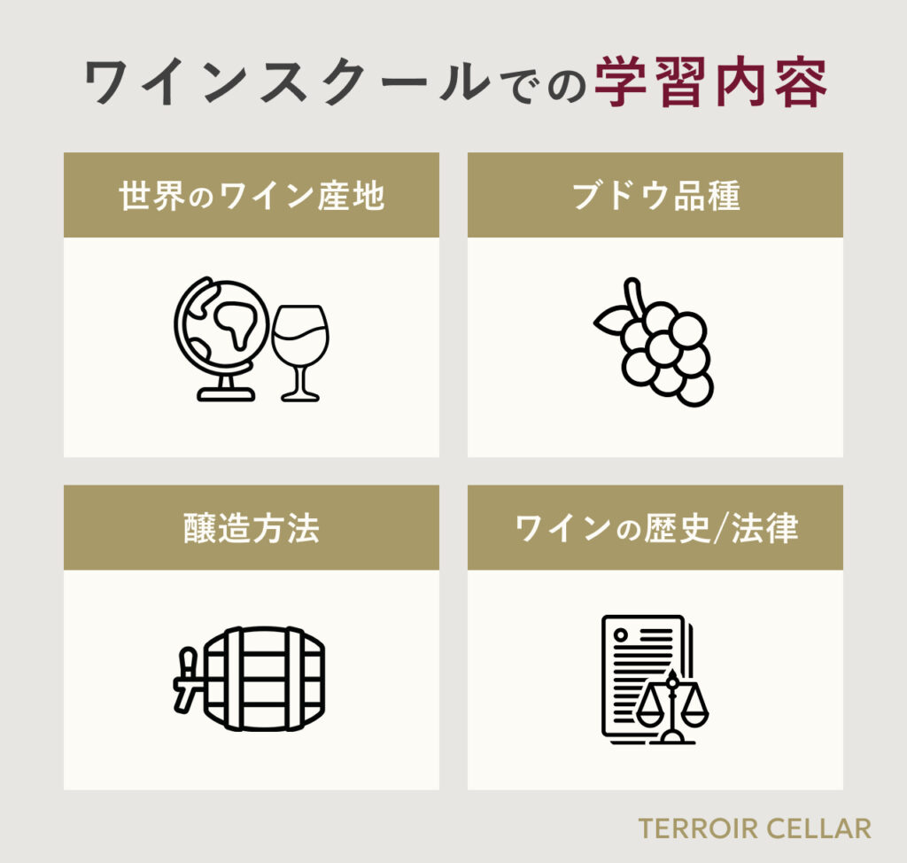 ワインスクールの学習内容